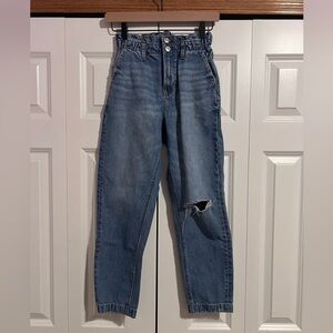 American Eagle Outfitters Light Blue Denim Shorts